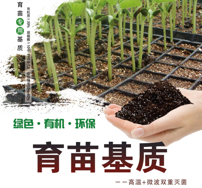 1703474607166825.png image.png