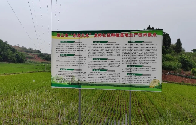 定制化肥料解決方案，助力東坡大米產(chǎn)業(yè)健康發(fā)展